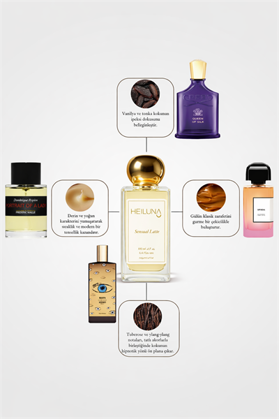 3lü Parfüm Set Mystic Jasmine | Ambre Vanille | Sensual Latte 100 ml EDP Parfüm