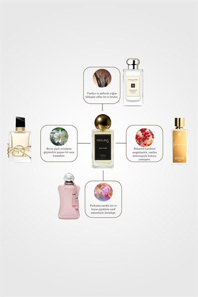 3lü Parfüm Set Mystic Jasmine | Ambre Vanille | Sensual Latte 100 ml EDP Parfüm