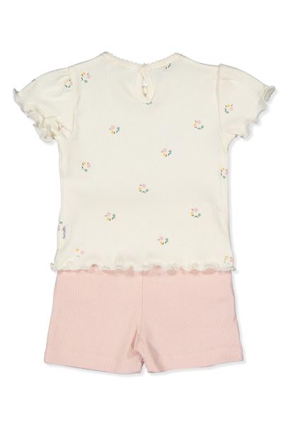 İNTERLOK ŞORT 2Lİ TAKIM (PINK PEAR) GÜL KURUSU