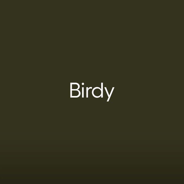birdy