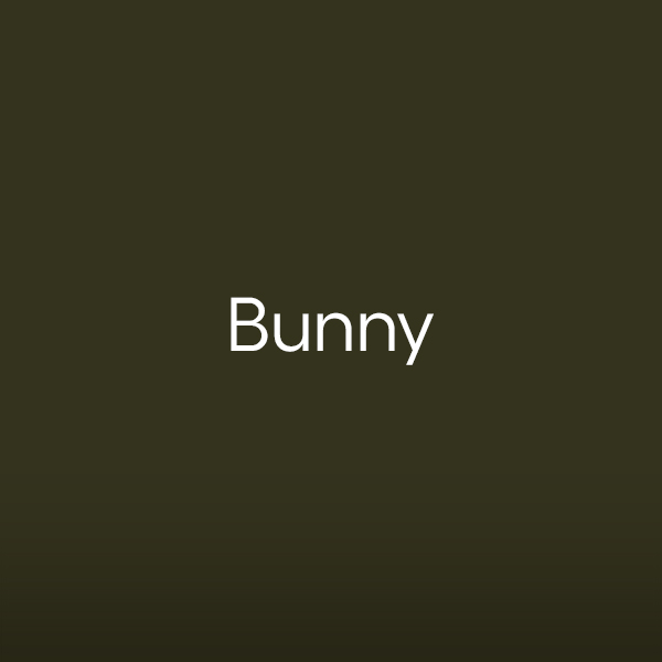 bunny