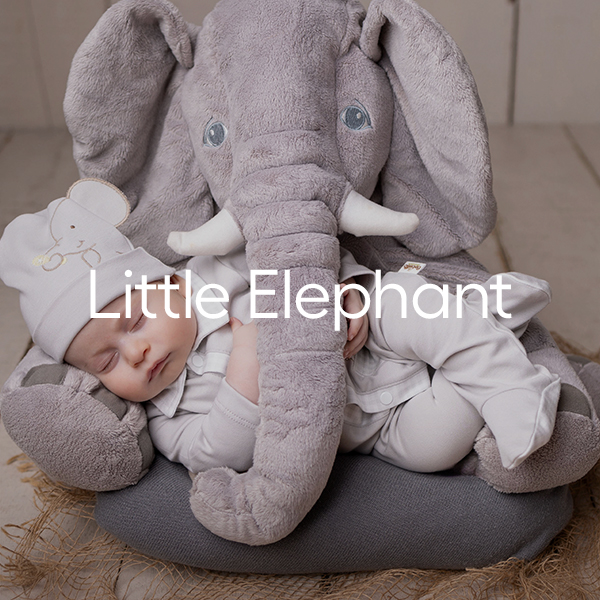 littleelephant