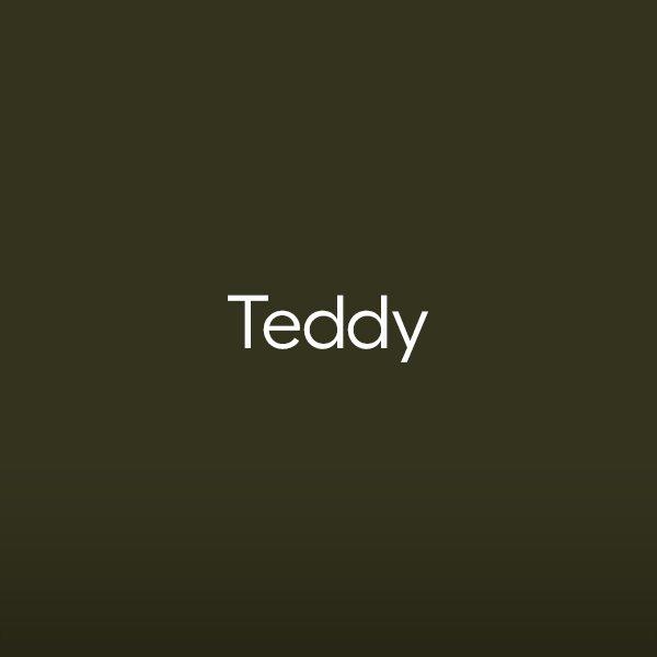 teddy