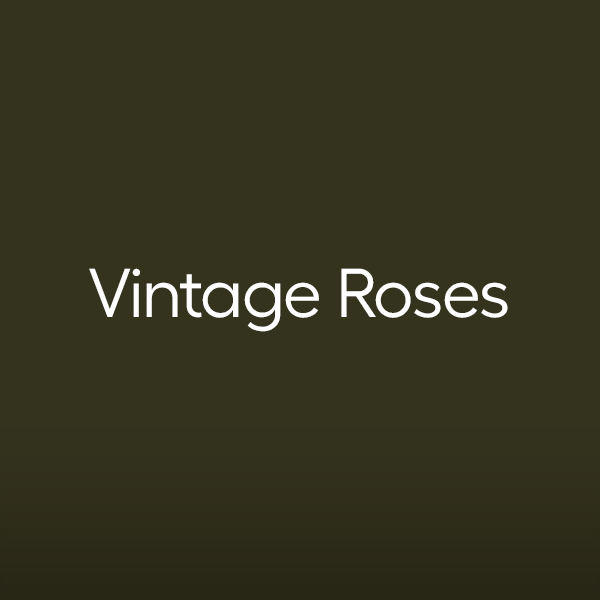 vintage-roses
