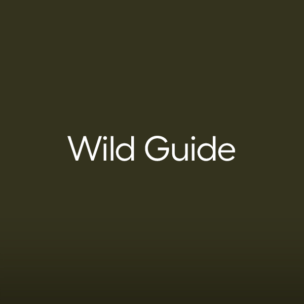wild-guide