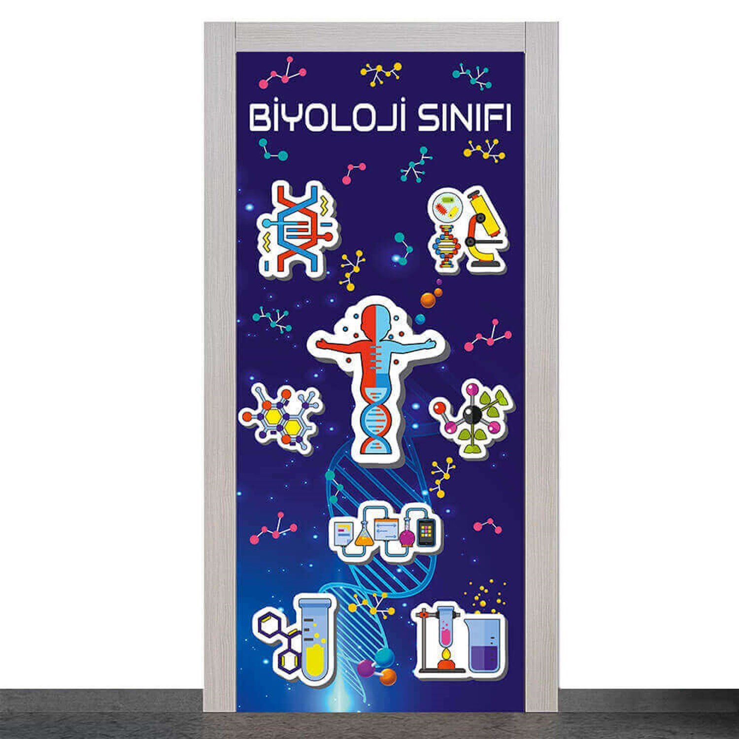 Biyoloji Sınıfı Kapı Giydirme