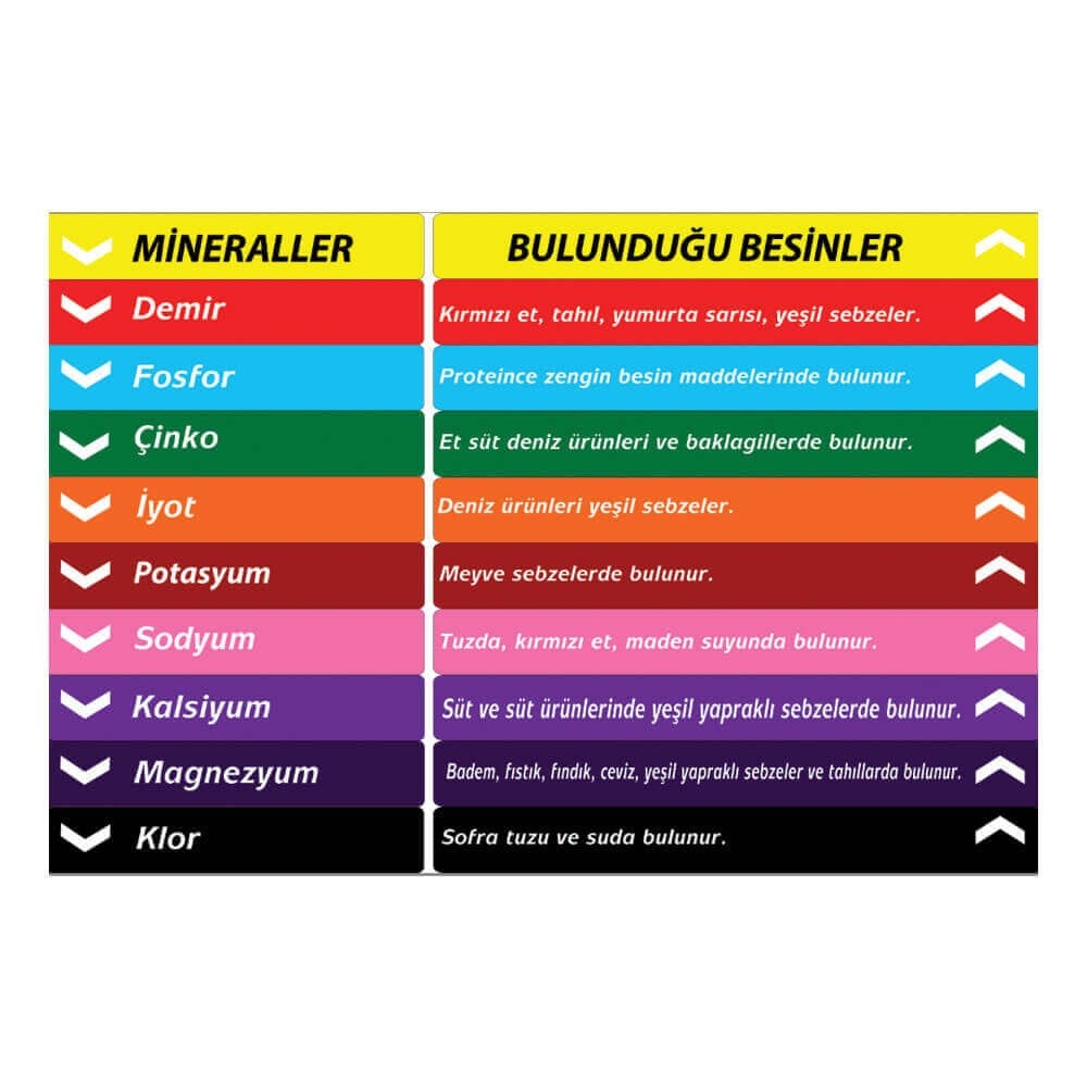 Fen Bilgisi Merdiven Yazıları (Laminasyonlu)