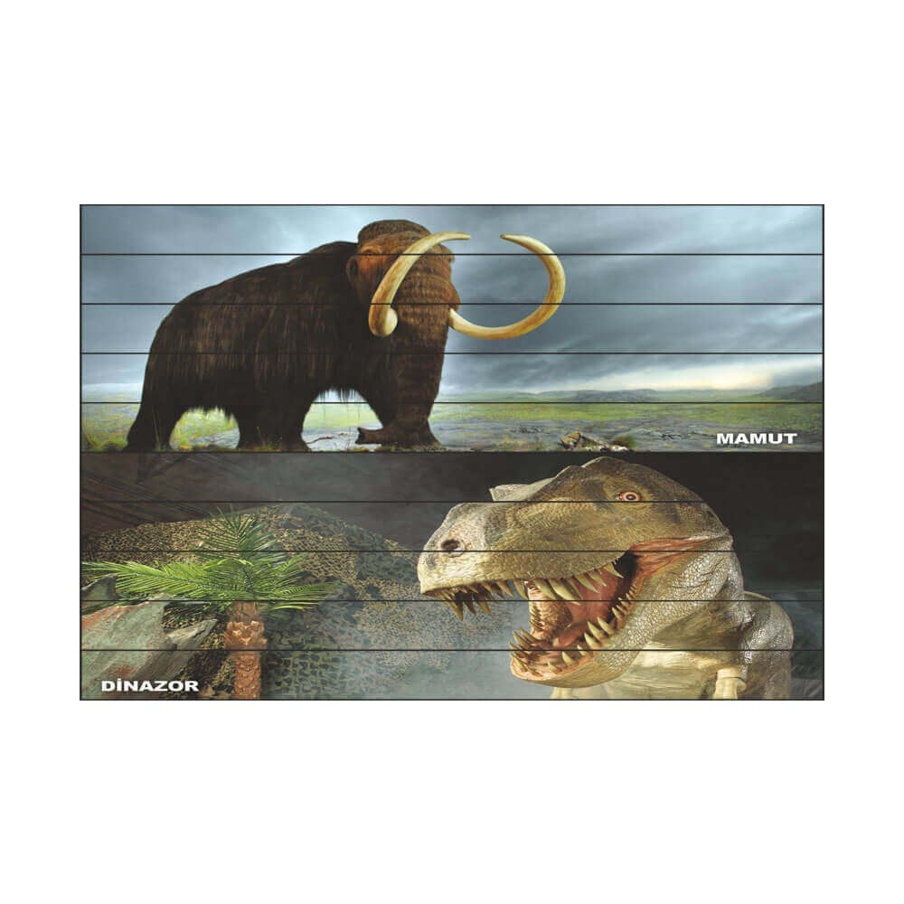 Hayvanlar Merdiven Giydirme