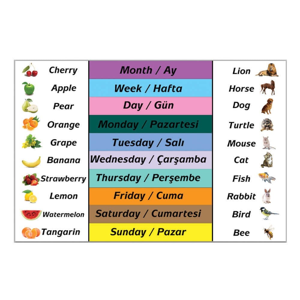 İngilizce Merdiven Yazıları (Laminasyonlu)