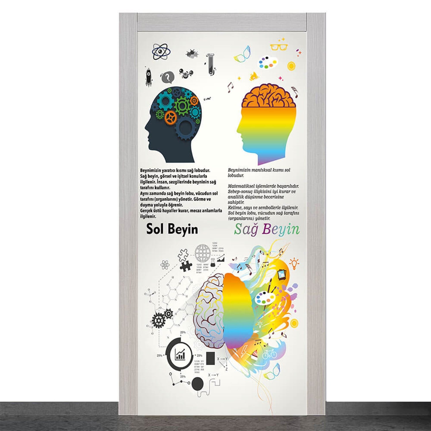 Sağ Beyin Sol Beyin Kapı Giydirme