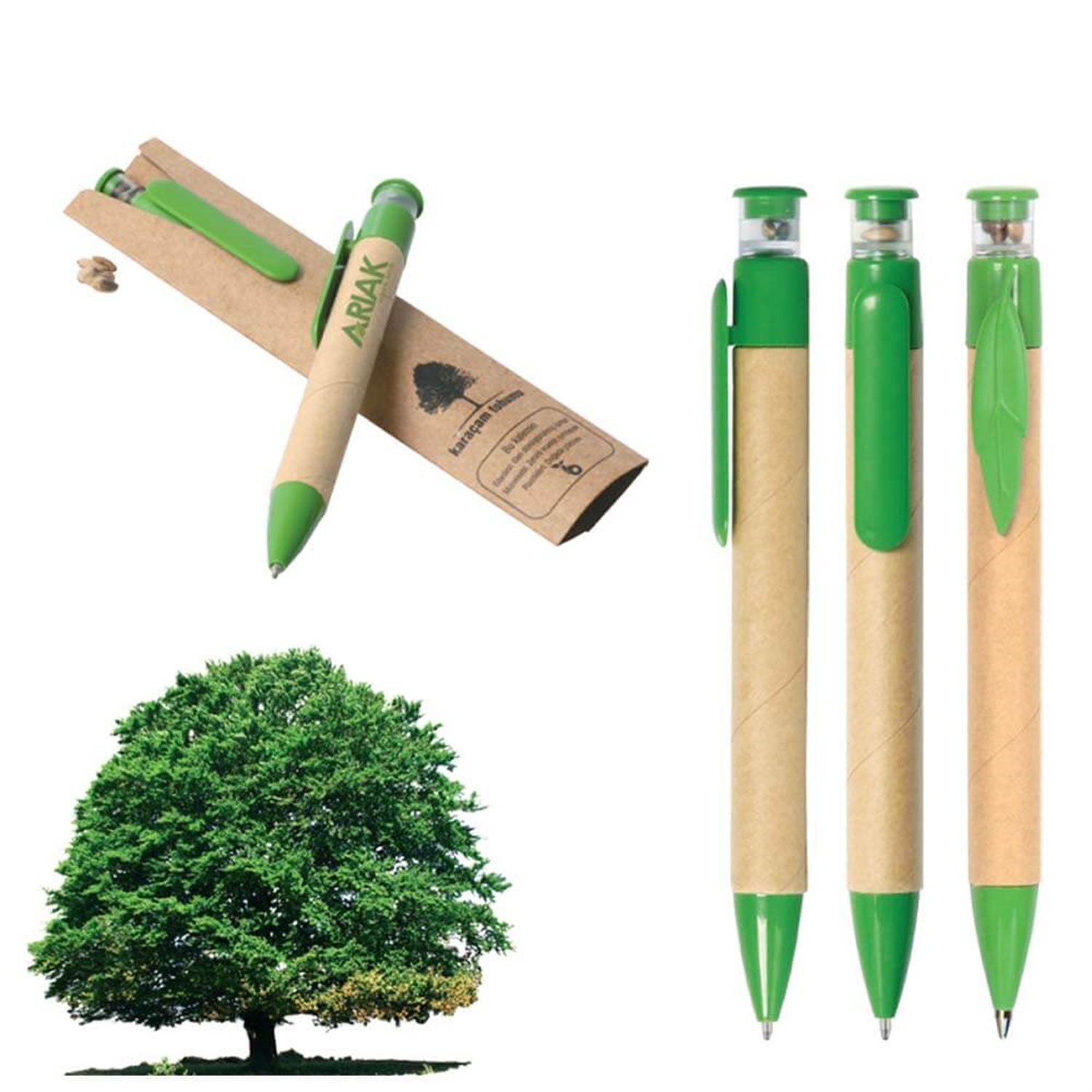 Tohumlu Tükenmez Kalem(20'li)