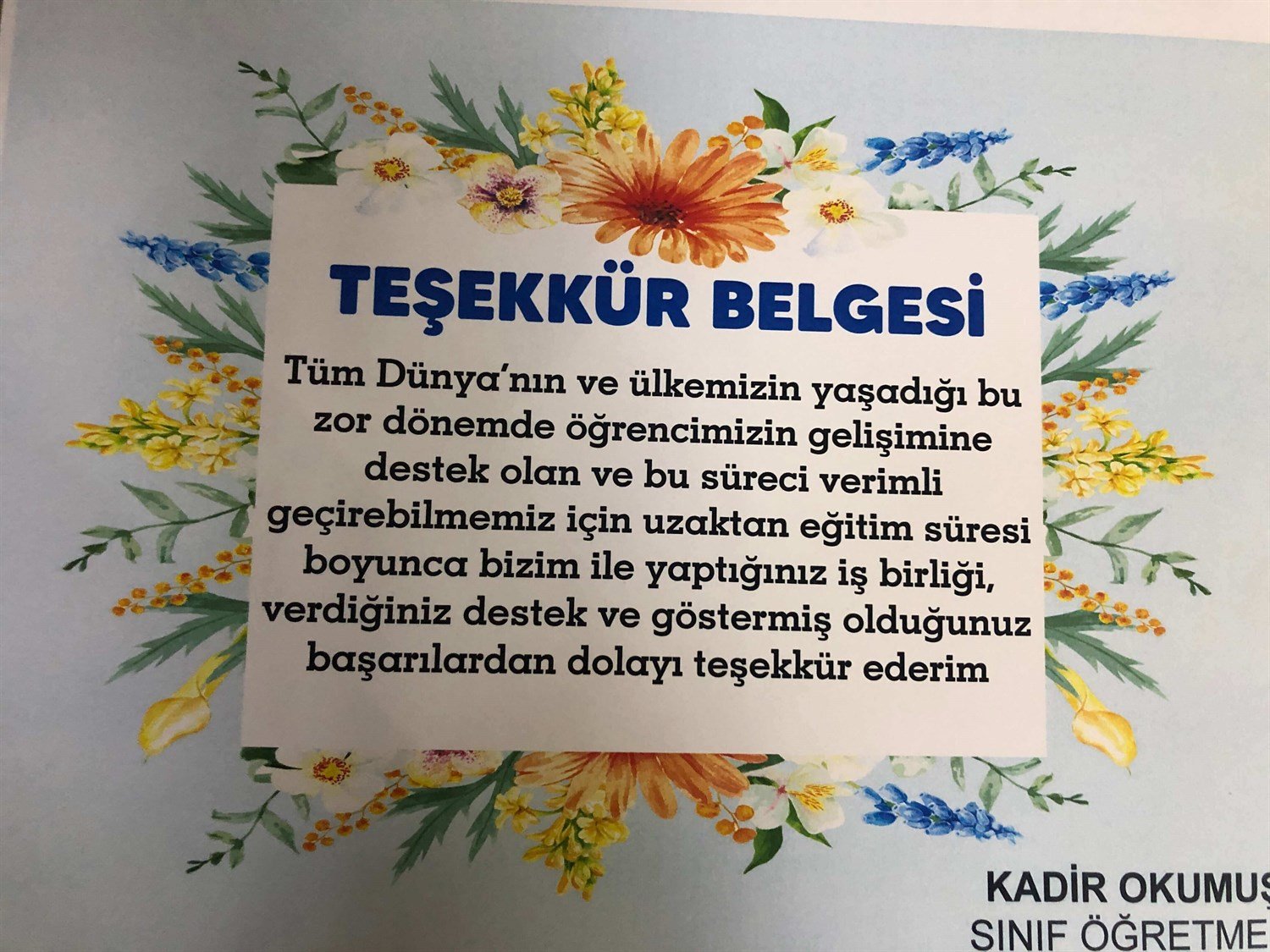 Veli Teşekkür Belgesi