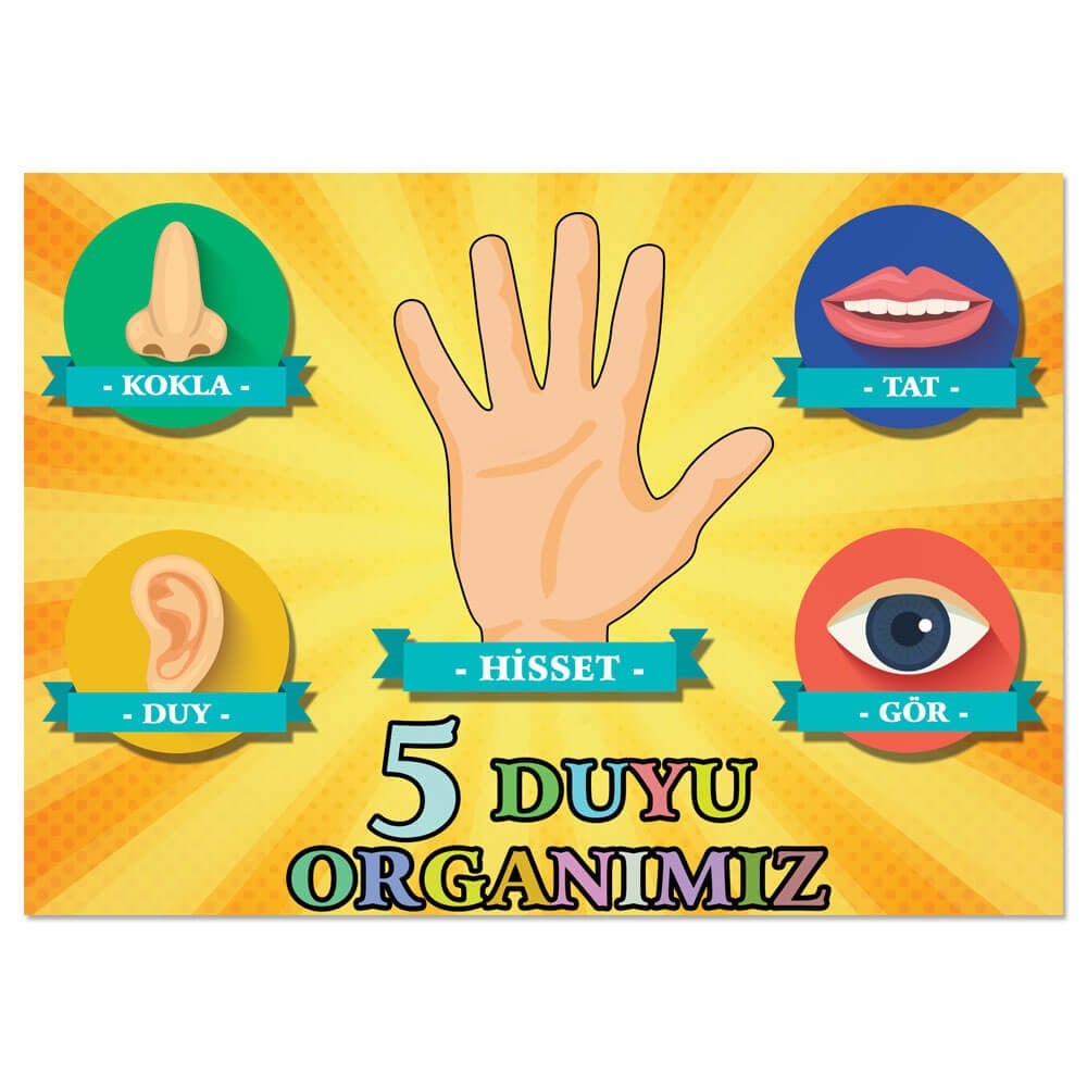 Beş Duyu Organımız Afişi