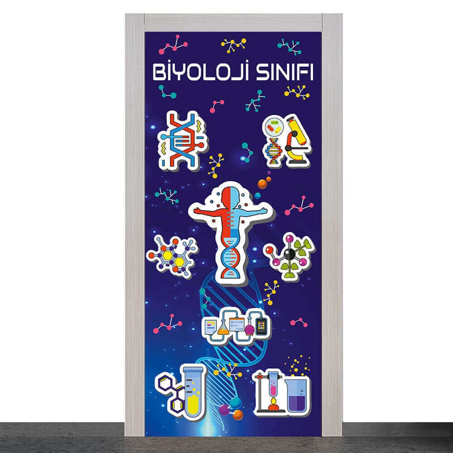 Biyoloji Sınıfı Kapı Giydirme