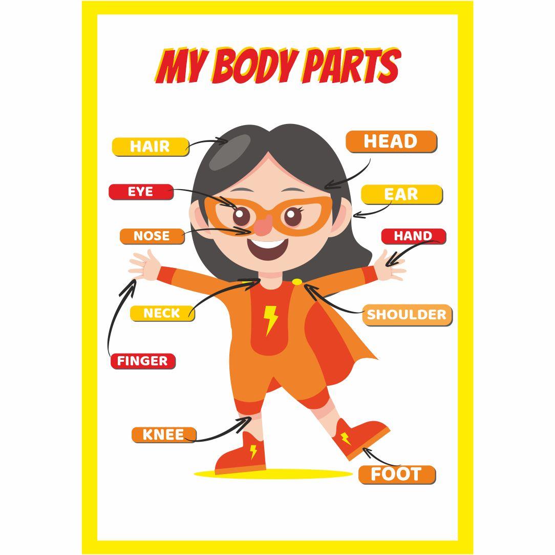 BodyParts01Body Parts-vücudun Bölümleri Ingilizce Çocuk Eğitim Kız Süper Kahraman Tekli Poster 35x50 Ölçülerindeİngilizce AfişleriOkularenkkat