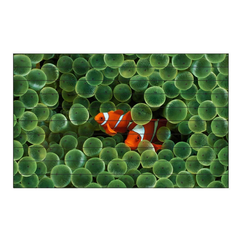 Denizaltı Merdiven Giydirme