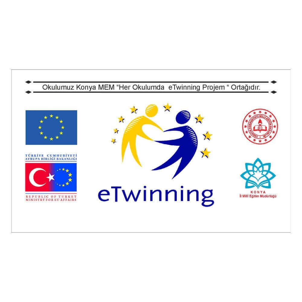 e-Twinning Afişi