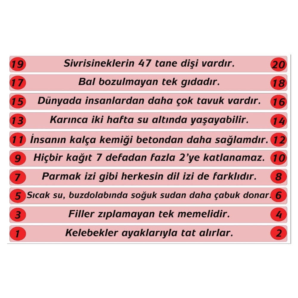Eğitim Merdiven Yazıları (Laminasyonlu)