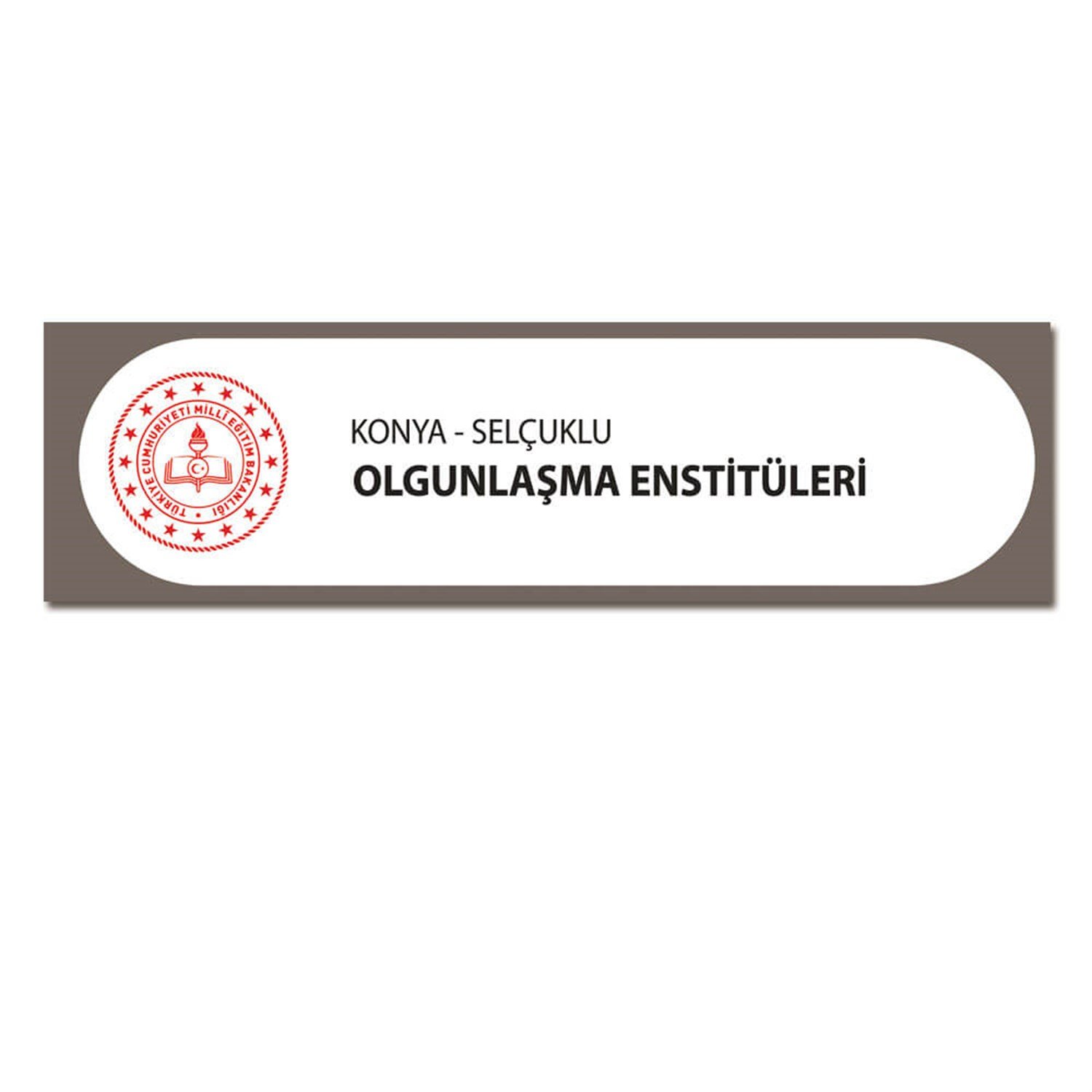 Olgunlaşma Enstitüsü Tabelası ve Yüz Degisimi (100 x 200)