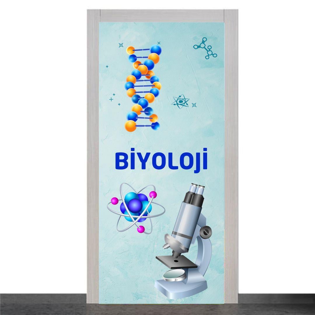orkkg464Biyoloji Sınıfı Kapı GiydirmeGenel KapılarOkularenkkat