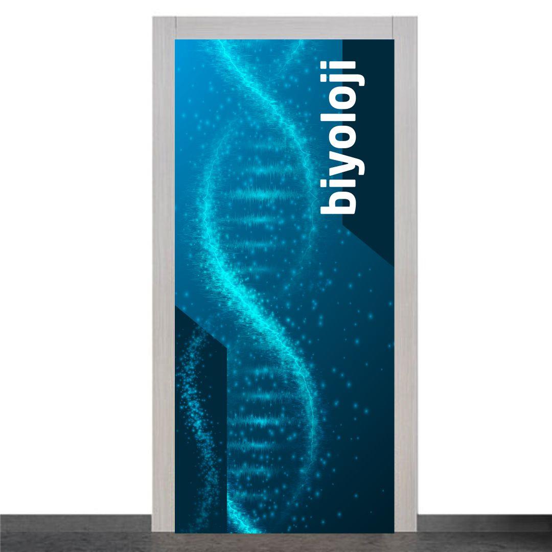 orkkg465Biyoloji Sınıfı Kapı GiydirmeGenel KapılarOkularenkkat