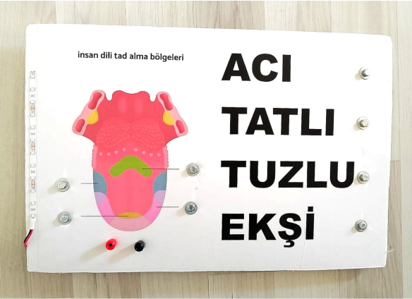 orktektsrm40Dilin Kısımları Eşleştirme Projesi Test Probu Pil DahilTeknoloji Tasarım ÜrünleriOkularenkkat