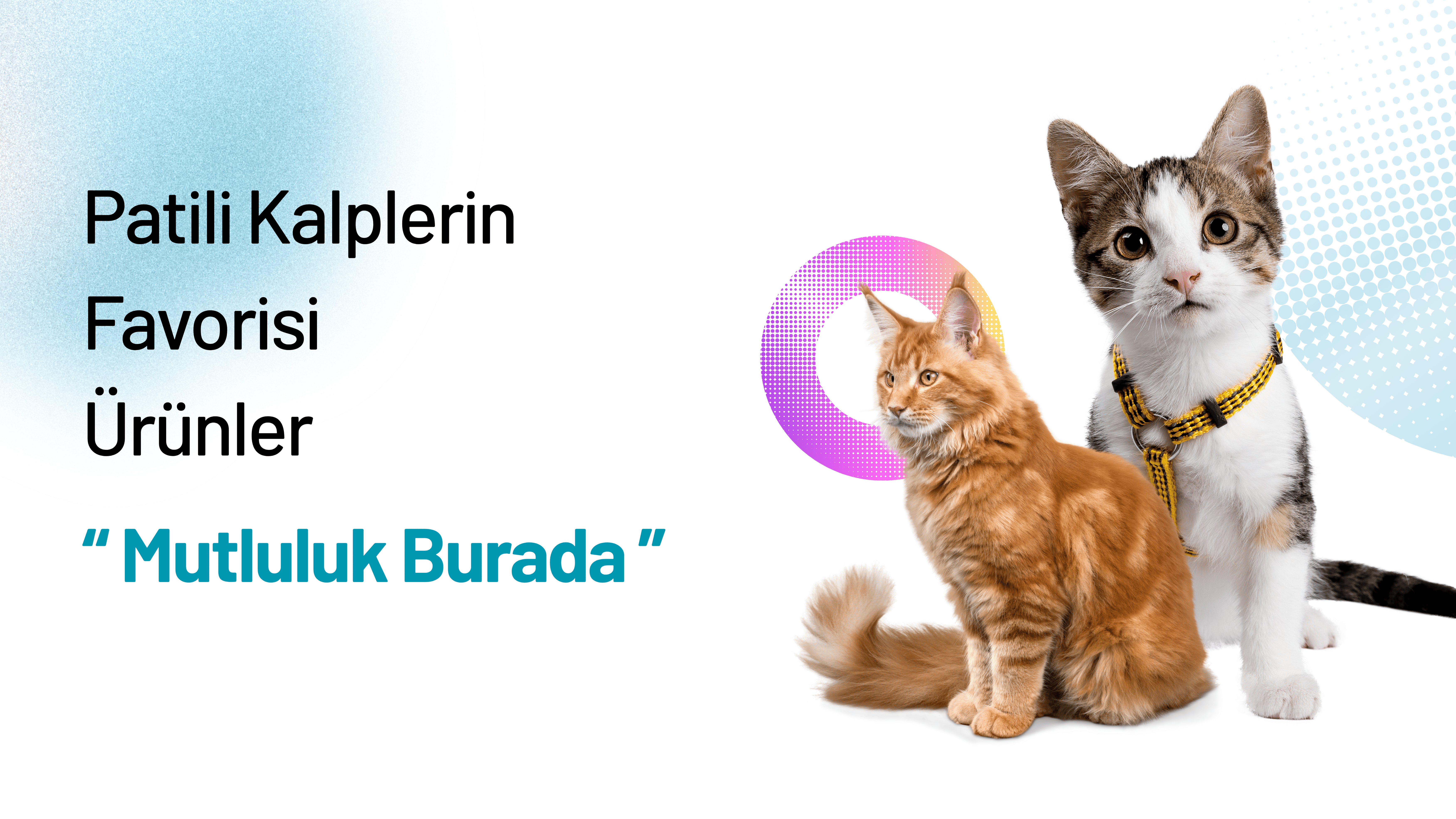 Kedi Ürünleri
