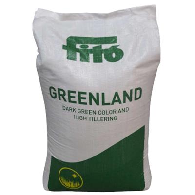 Fito Lolium Perenne İngiliz Çimi (25 KG)