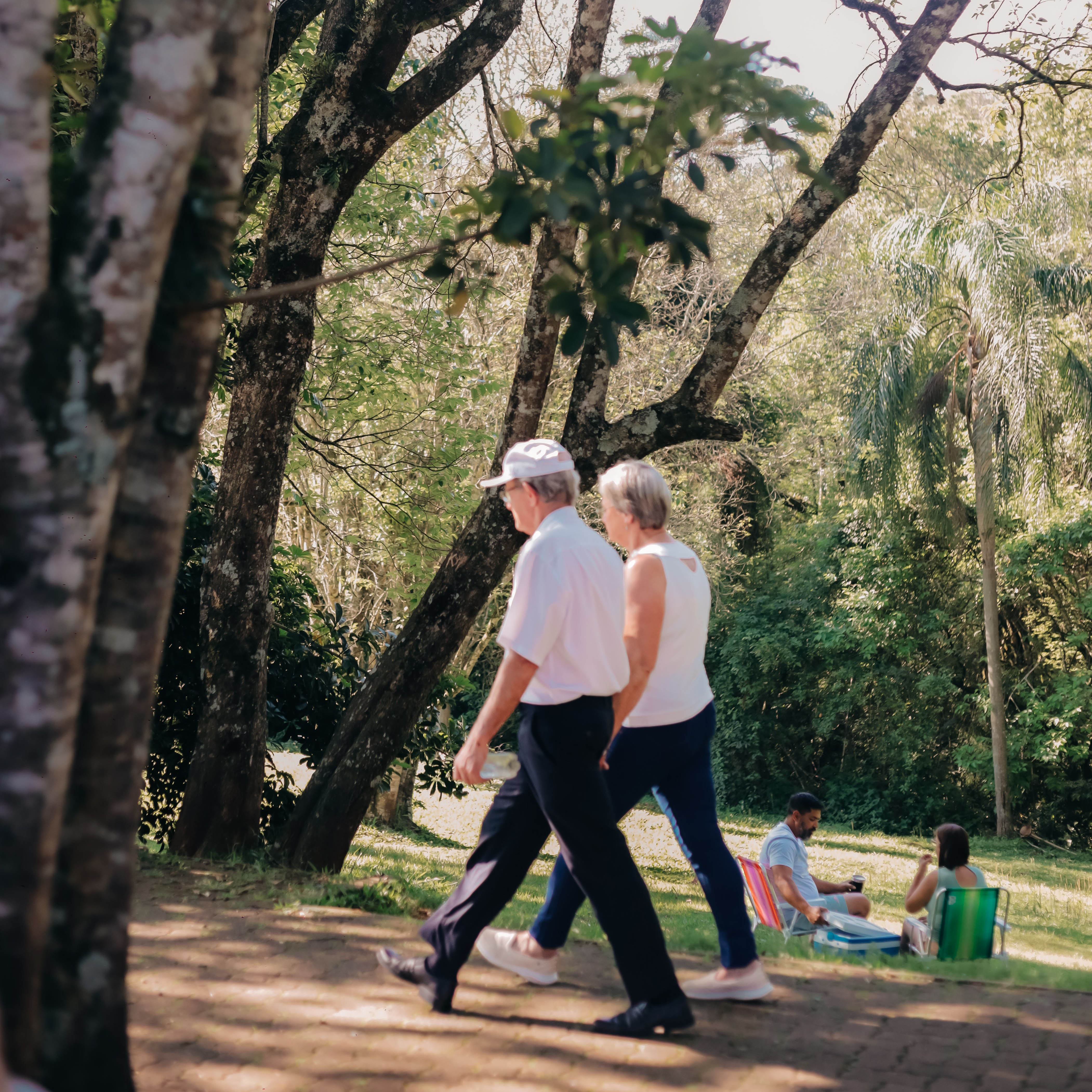 Longevity-nedir