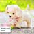  BABY BORN 835869 KÖPEĞİM LUCKY SESLİ HAREKETLİ PİLLİ 3+