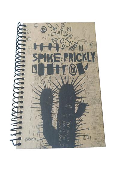 Papirüs Kraft Spiralli Sert Kapak 16X23 100 Yaprak Çizgili