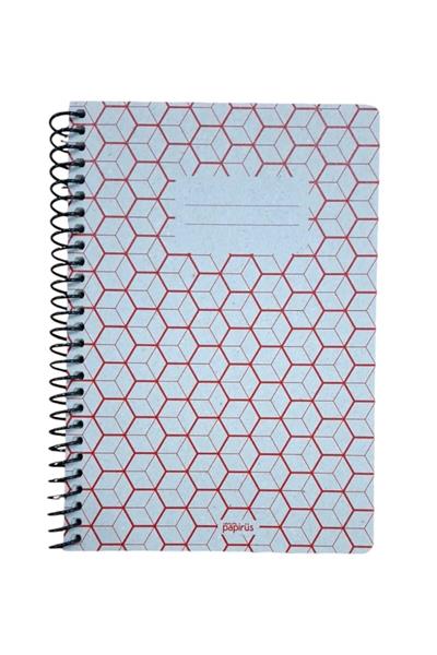 Papirüs Retro 16X23cm 80 Yaprak Kareli Defter
