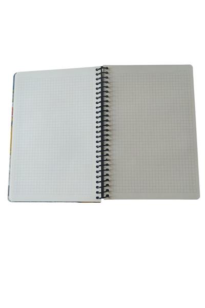 Papirüs Tuval 16X23cm Spiralli Sert Kapak 100 Yaprak Kareli Defter