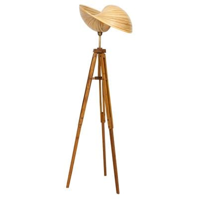 Bambu Tripod Aydınlatma  Y.160cm