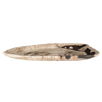 Dekoratif Bowl Fosil Ağaç -40 cm x 28 cm  x3 cm