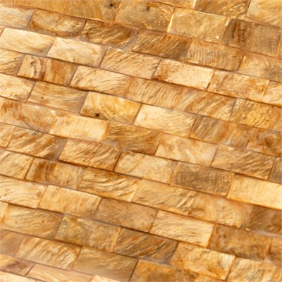 Dekoratif Dikdörtgen Sedefli Tepsi Deniz Kabuğu & Hindistan Cevizi Kabuğu Kaplama 40×18 cm