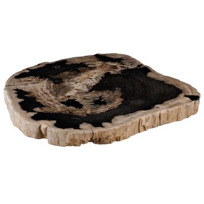 Orta Sehpa Fosil Ağaç -99 cm x 71 cm x 6 cm