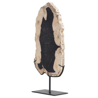 Standlı Dekoratif Aksesuar Fosil Ağaç-19 cm x 40 cm