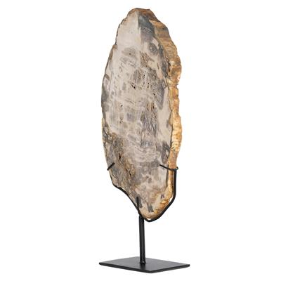 Standlı Dekoratif Aksesuar Fosil Ağaç-19 cm x 40 cm