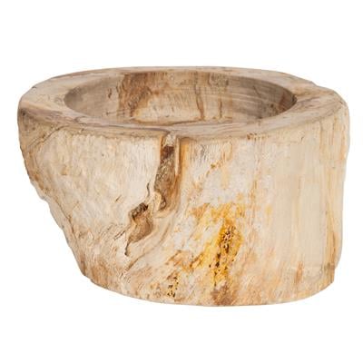 Yuvarlak Mumluk Fosil Ağaç - 12 cm x 7 cm