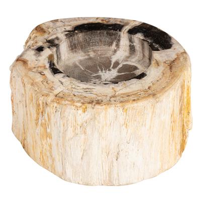 Yuvarlak Mumluk Fosil Ağaç - 12 cm x 7 cm