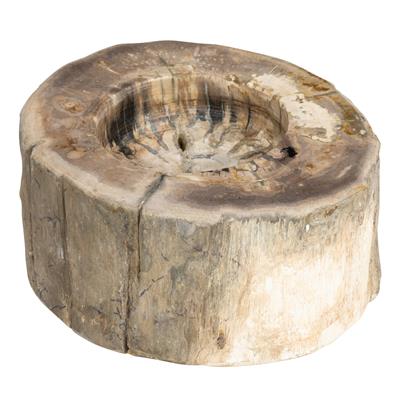 Yuvarlak Mumluk Fosil Ağaç - 12 cm x 7 cm