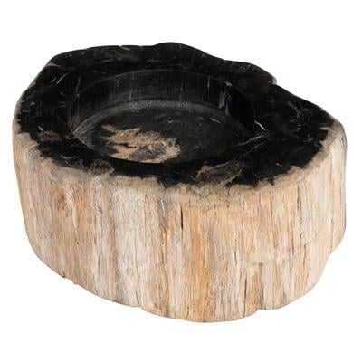 Yuvarlak Mumluk Fosil Ağaç - 12 cm x 7 cm