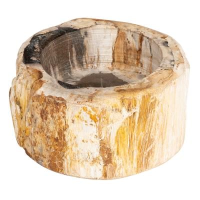 Yuvarlak Mumluk Fosil Ağaç - 12 cm x 7 cm