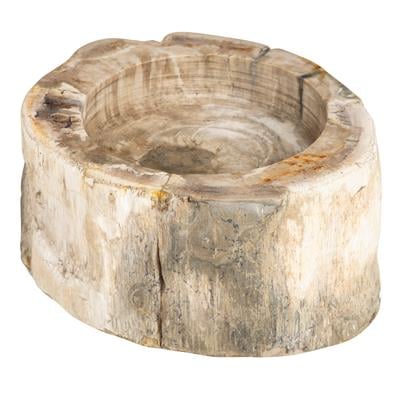 Yuvarlak Mumluk Fosil Ağaç - 12 cm x 7 cm