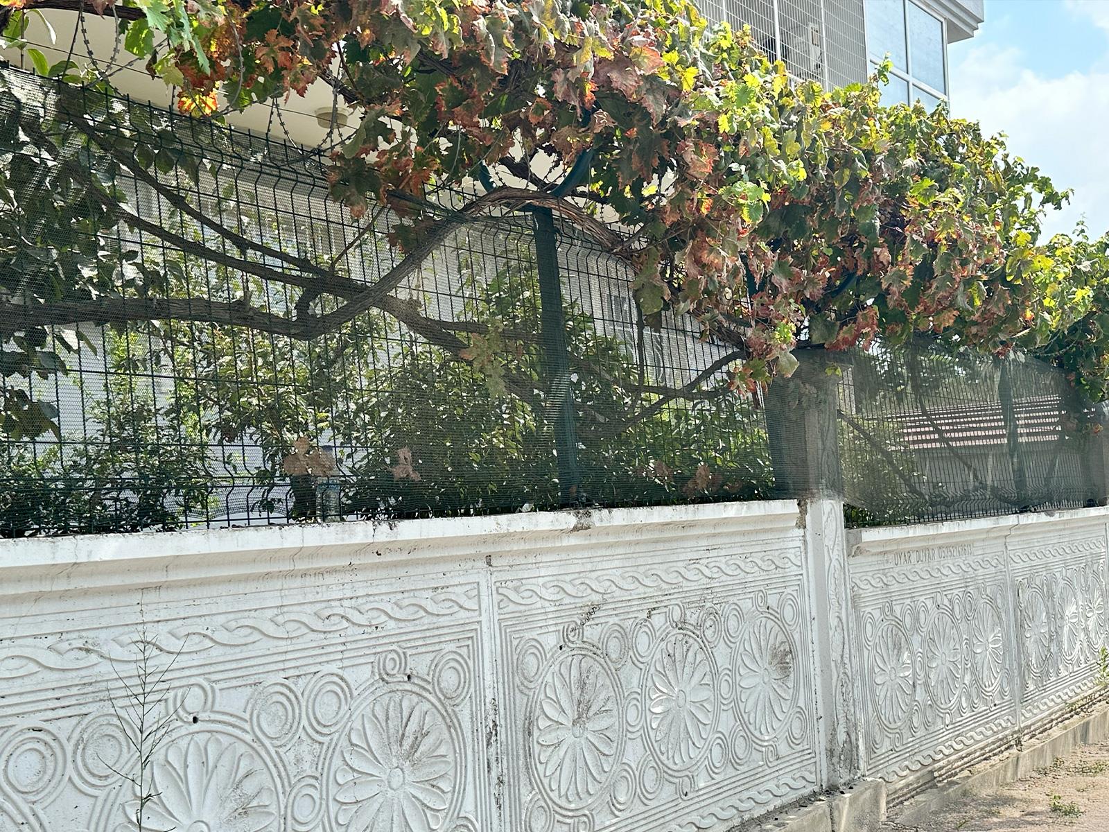 Bahçe Çit Filesi - 40lık - Yeşil - Şeritli Halkalı