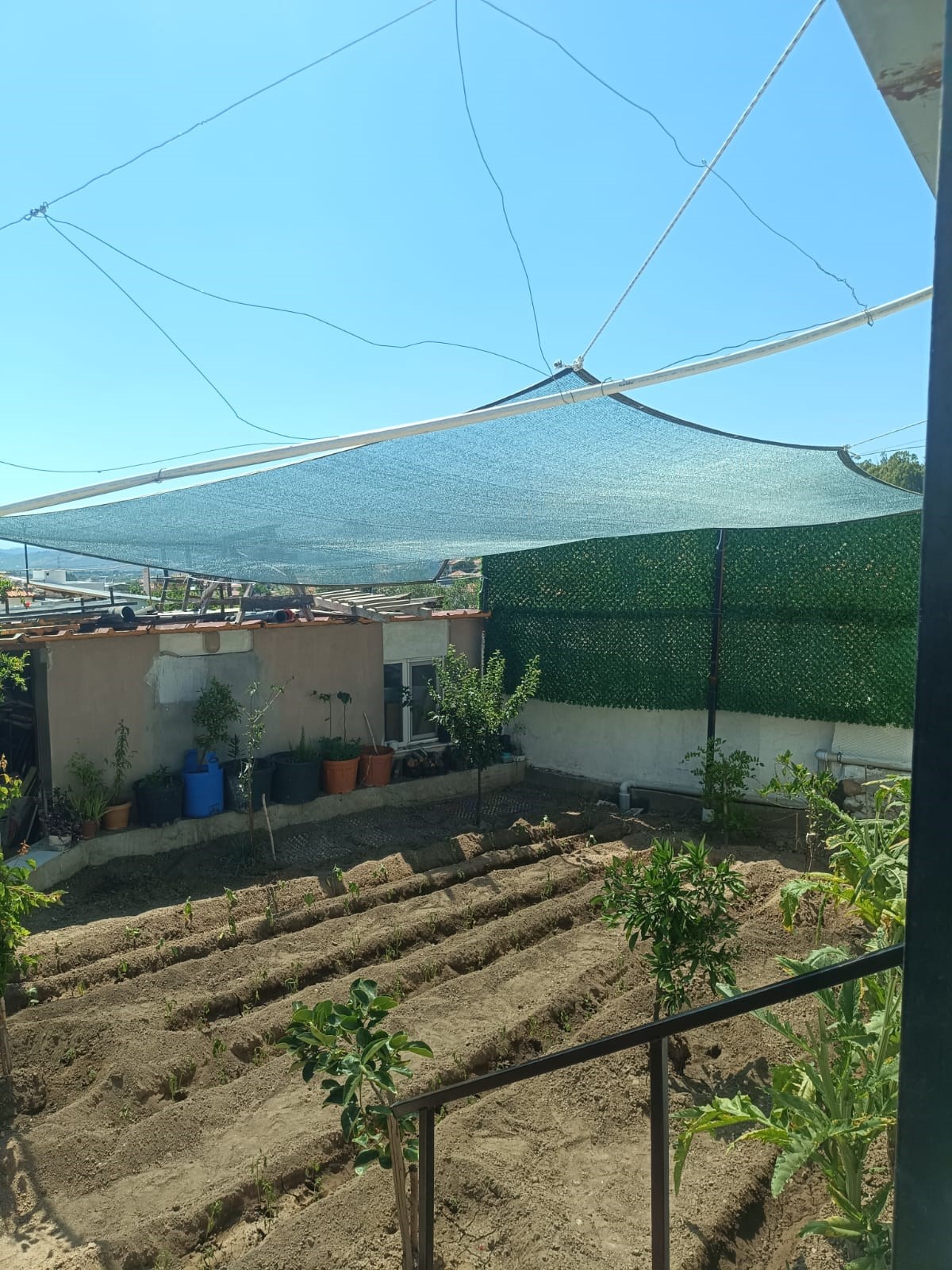 Gölgeleme Filesi - 55lik - Yeşil - Düz Kenar 