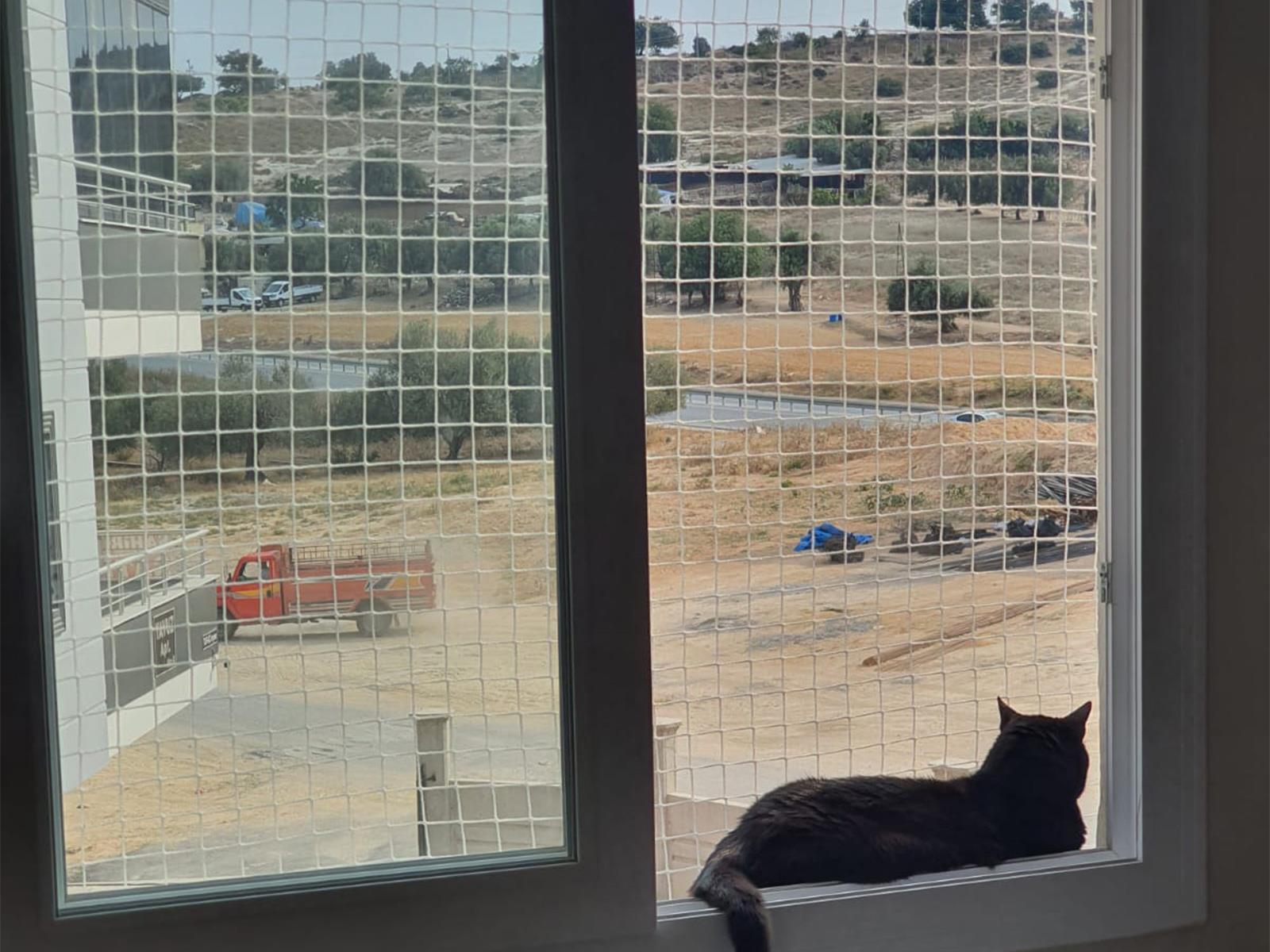 Kedi Filesi -  Kedi Ağı - 4cm Göz Aralığı