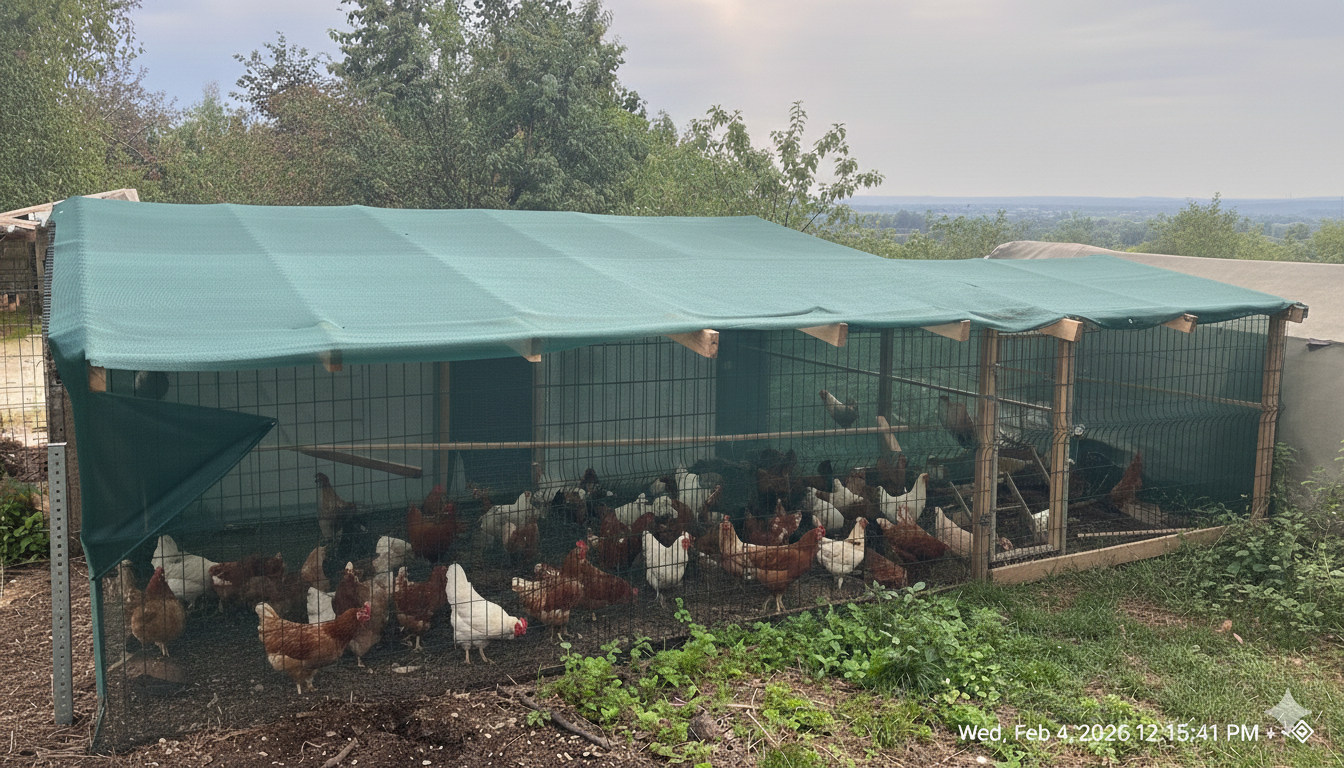 Kümes Kapatma Filesi - 95lik 140 gram/m2 - Yeşil - Düz Kenar 