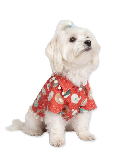Kırmızı Kuş Desenli Köpek Gömleği – 4 Mevsim Şirin & Şık